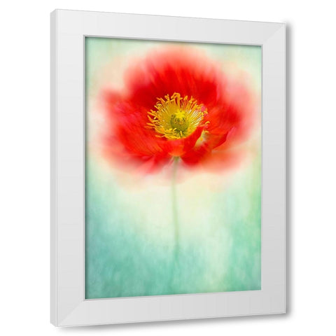 Sprite White Modern Wood Framed Art Print by Parker, Jacky