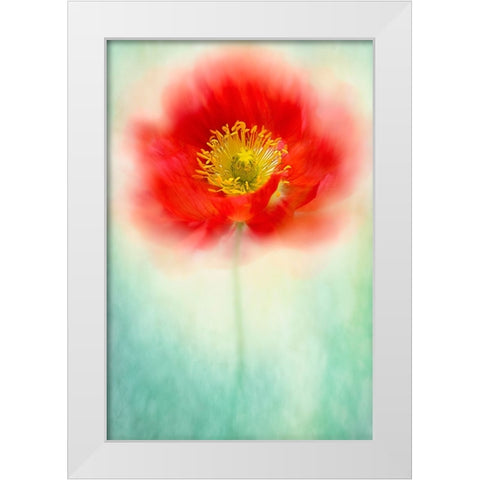 Sprite White Modern Wood Framed Art Print by Parker, Jacky