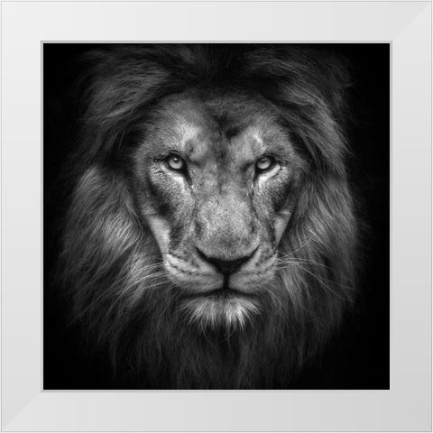 Face White Modern Wood Framed Art Print by Itoyama, Eiji