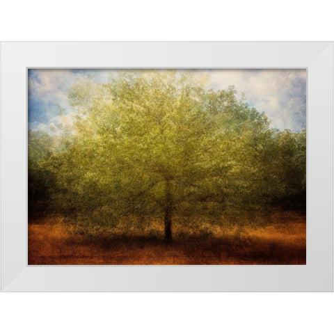 Embrace Me White Modern Wood Framed Art Print by Holmstrom, Katarina