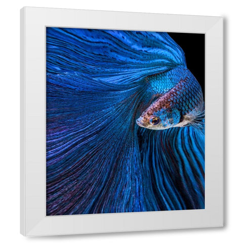 Blue Moon White Modern Wood Framed Art Print by Halil, Andi