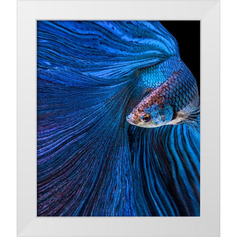 Blue Moon White Modern Wood Framed Art Print by Halil, Andi