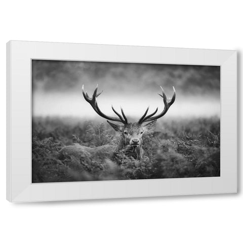 Vvv White Modern Wood Framed Art Print by Fabrowski, Robert