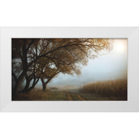 October Morning White Modern Wood Framed Art Print by Hoandra, Nicu
