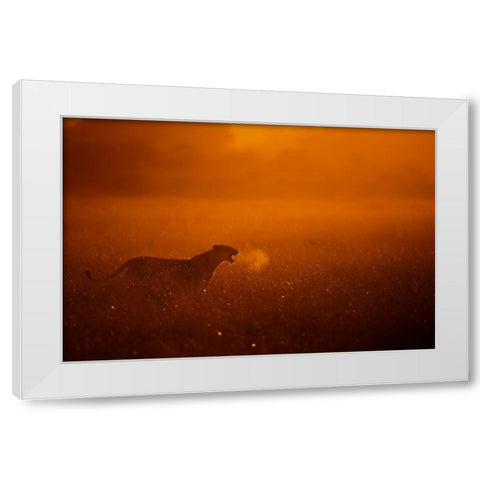 Puff White Modern Wood Framed Art Print by Alnaser, Mohammed