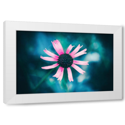 Pinky White Modern Wood Framed Art Print by Menhard, Ingo