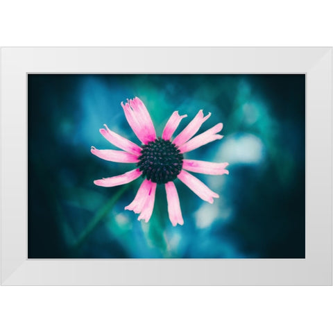 Pinky White Modern Wood Framed Art Print by Menhard, Ingo