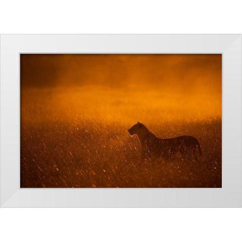 Gold Dust White Modern Wood Framed Art Print by Alnaser, Mohammed