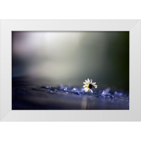 Twilight White Modern Wood Framed Art Print by Zahirimehr, Maryam