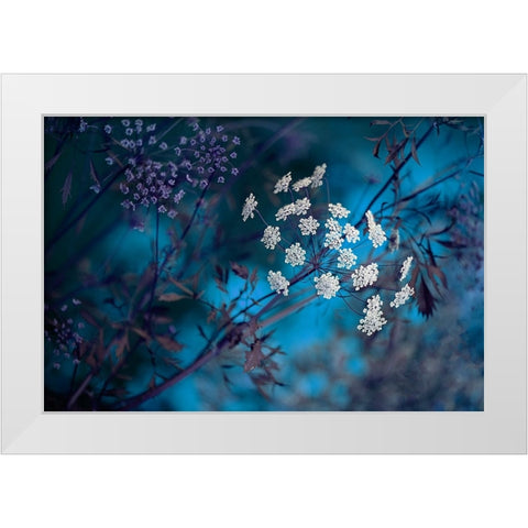 Queen AnneS Lace White Modern Wood Framed Art Print by Parker, Jacky