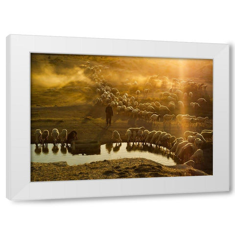 Shepherd White Modern Wood Framed Art Print by Tunc, Feyzullah