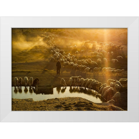 Shepherd White Modern Wood Framed Art Print by Tunc, Feyzullah
