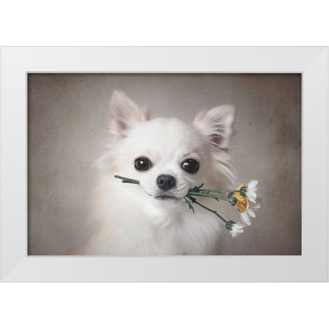 Chihuahua With Flowers White Modern Wood Framed Art Print by Lienjp