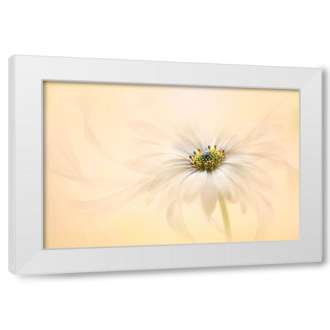 Melody White Modern Wood Framed Art Print by Parker, Jacky