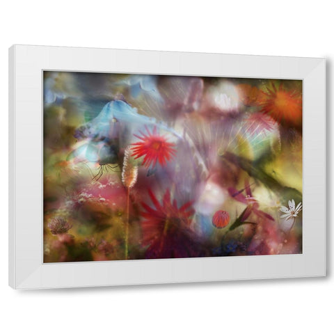 Summer Memories White Modern Wood Framed Art Print by Westum, Heidi