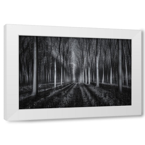 Into The Forest White Modern Wood Framed Art Print by Zhu, Jingshu