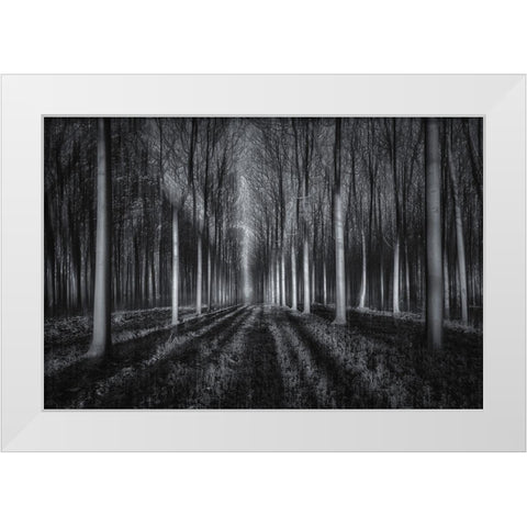 Into The Forest White Modern Wood Framed Art Print by Zhu, Jingshu
