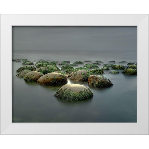 Bowling Ball Beach White Modern Wood Framed Art Print by W. Chen, Janice