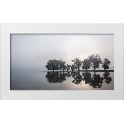 Before My Coffee... White Modern Wood Framed Art Print by Linkhart, Andy