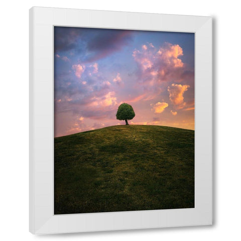 Tree On Hill During Sunset White Modern Wood Framed Art Print by Lindsten, Christian