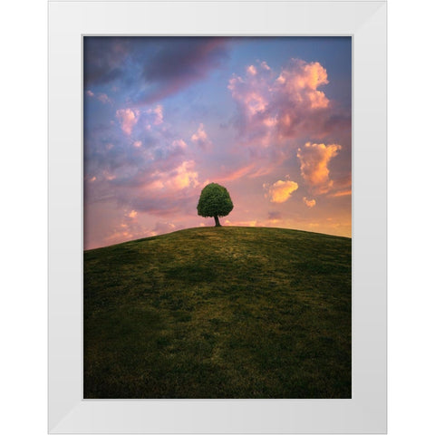 Tree On Hill During Sunset White Modern Wood Framed Art Print by Lindsten, Christian