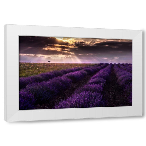 Between Flowers White Modern Wood Framed Art Print by Concepcion Alvarado, Jesus