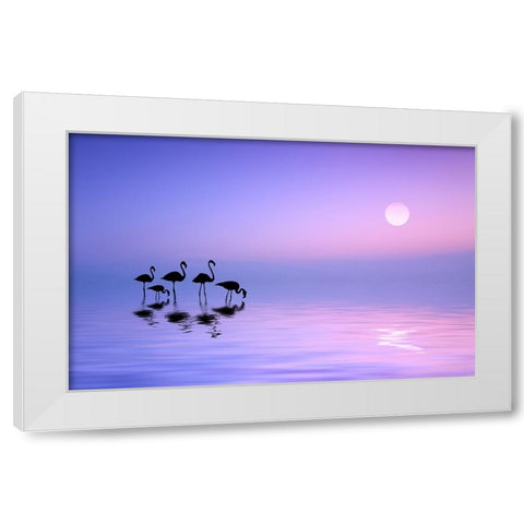 Morning Flamingo White Modern Wood Framed Art Print by Hamiti, Bess