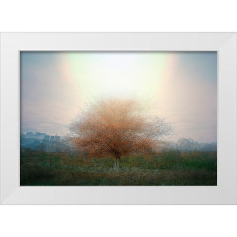 Mirage White Modern Wood Framed Art Print by Holmstrom, Katarina