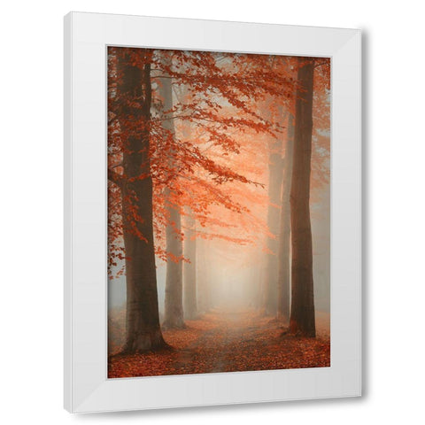 Autumn Dream White Modern Wood Framed Art Print by Dingemans, Saskia