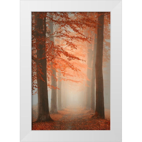 Autumn Dream White Modern Wood Framed Art Print by Dingemans, Saskia