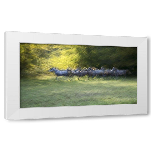 Autumn Time White Modern Wood Framed Art Print by Malovrh, Milan