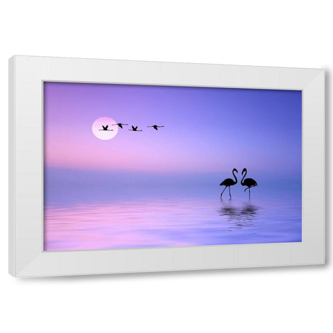Flying Flamingo White Modern Wood Framed Art Print by Hamiti, Bess