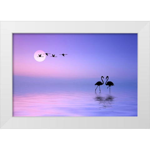 Flying Flamingo White Modern Wood Framed Art Print by Hamiti, Bess
