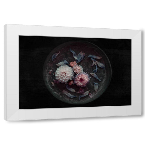 Dahlia On Their Last White Modern Wood Framed Art Print by Schuster, Inge
