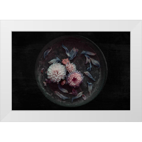 Dahlia On Their Last White Modern Wood Framed Art Print by Schuster, Inge