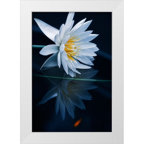 Reflecting World White Modern Wood Framed Art Print by Suzuki, Takashi