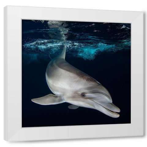 Life Is Short-Smile While You Still Have Teeth... White Modern Wood Framed Art Print by Cohen, Oren