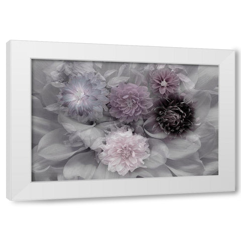 Dahlia Dream White Modern Wood Framed Art Print by Schuster, Inge