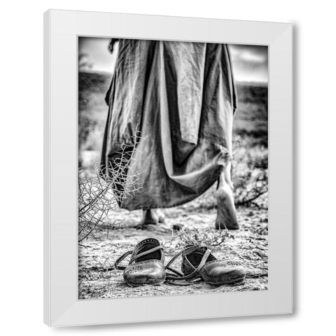 Passenger White Modern Wood Framed Art Print by Saeidinia, Afshin