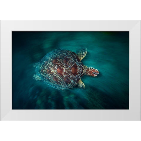 Vaclocity Turtle White Modern Wood Framed Art Print by Gabriel, Barathieu