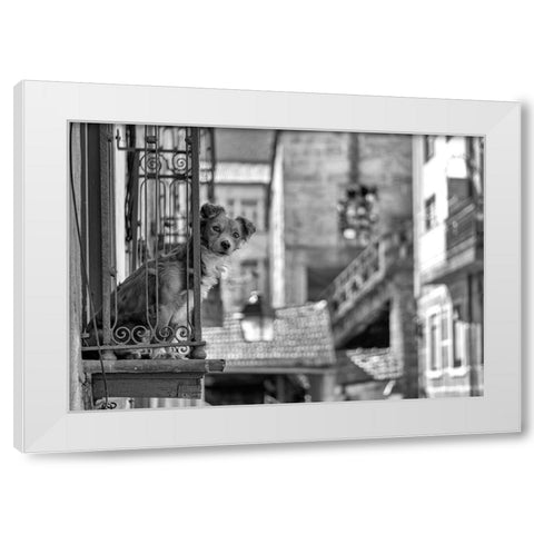 Untitled White Modern Wood Framed Art Print by Carlos, KK