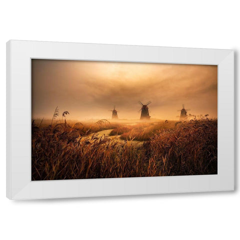 A Fascinating Morning White Modern Wood Framed Art Print by Seo, Tiger