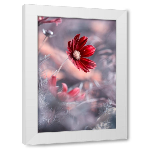 Carmen II White Modern Wood Framed Art Print by BRAVIN, Fabien