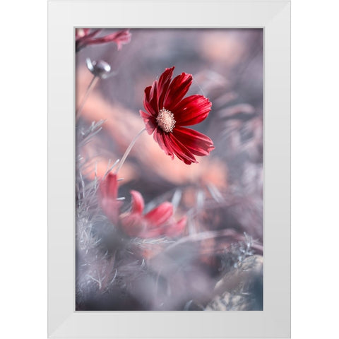 Carmen II White Modern Wood Framed Art Print by BRAVIN, Fabien