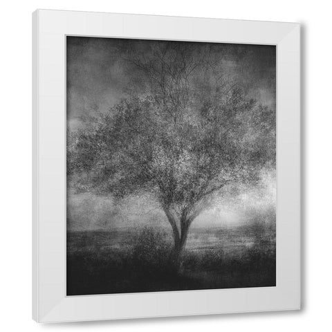 Reminisce White Modern Wood Framed Art Print by Holmstrom, Katarina