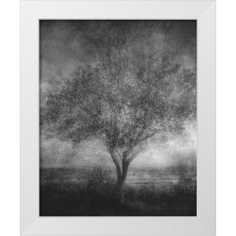 Reminisce White Modern Wood Framed Art Print by Holmstrom, Katarina