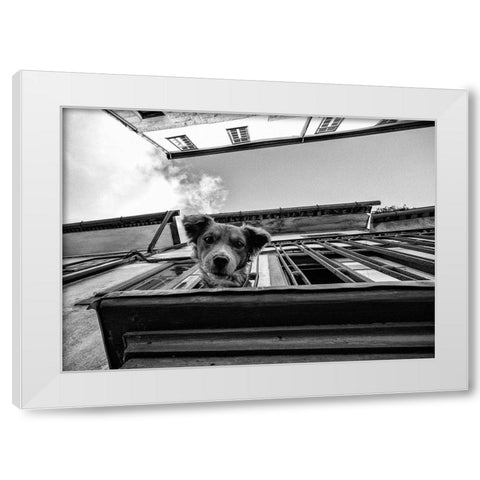 Untitled White Modern Wood Framed Art Print by Carlos