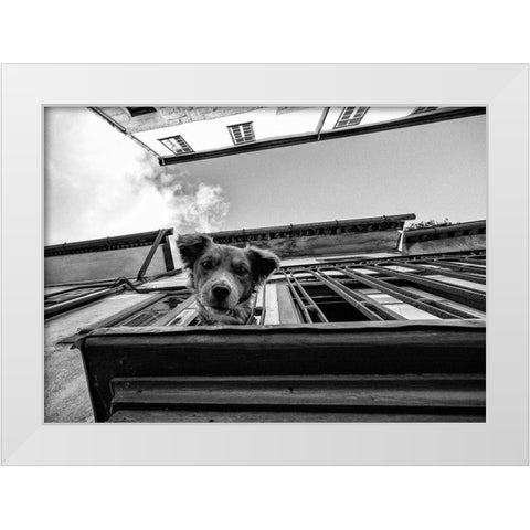 Untitled White Modern Wood Framed Art Print by Carlos