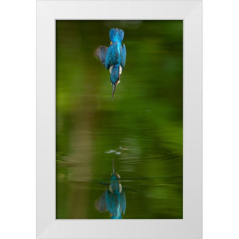 Pitchdown White Modern Wood Framed Art Print by Kennyc