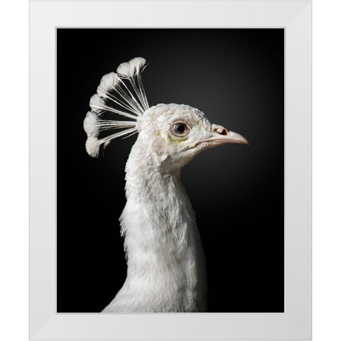 M A J E S T I C White Modern Wood Framed Art Print by Fegari